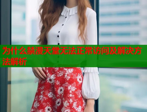 为什么禁漫天堂无法正常访问及解决方法解析