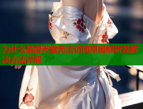 为什么禁漫天堂无法访问原因解析及解决方法详解