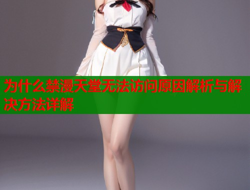 为什么禁漫天堂无法访问原因解析与解决方法详解