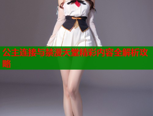公主连接与禁漫天堂精彩内容全解析攻略  第1张