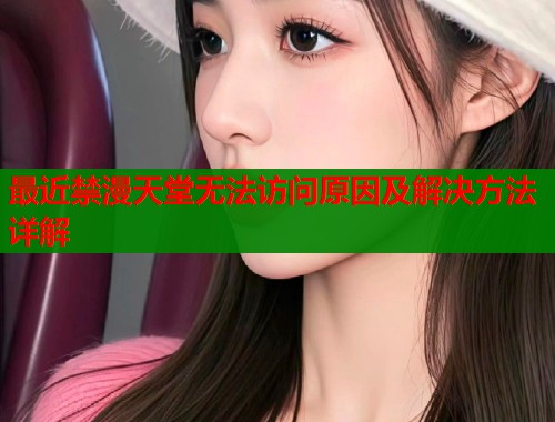 最近禁漫天堂无法访问原因及解决方法详解