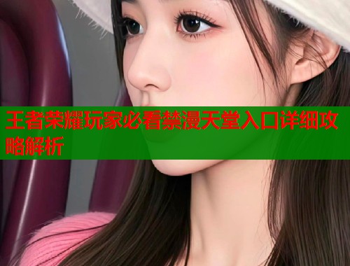 王者荣耀玩家必看禁漫天堂入口详细攻略解析  第1张